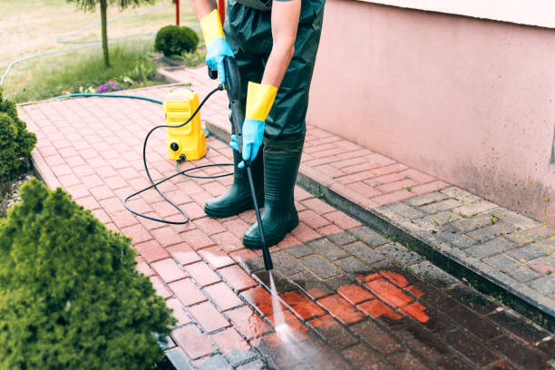 Best Fence Cleaning  in Avalon, PA